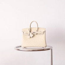 Bkhorse Hermes Factory 3C Parchemin Ostrich Skin Birkin25CM Silver Hardware