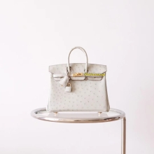 BKhorse Hermes Shop Birkin 25CM Ostrich CK80 Gris Pearl Gold Hardware